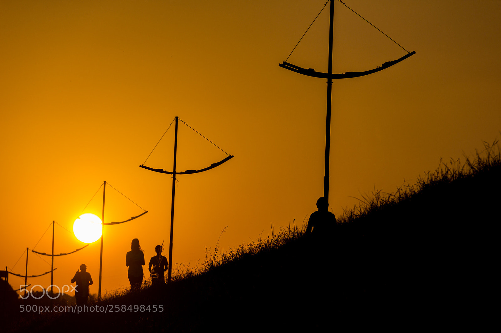 Canon EOS 60D sample photo. Golden walking photography