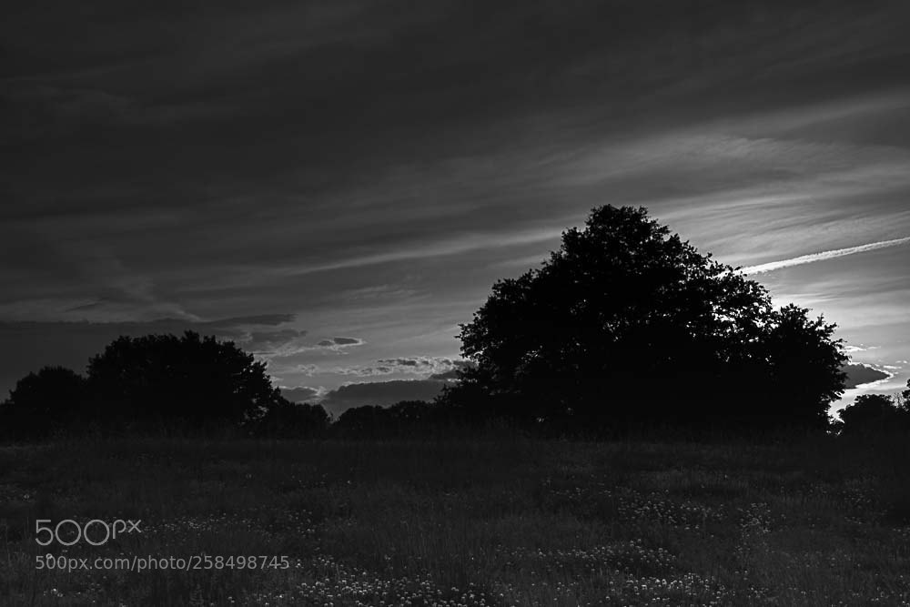 Nikon D500 sample photo. Sunset photography