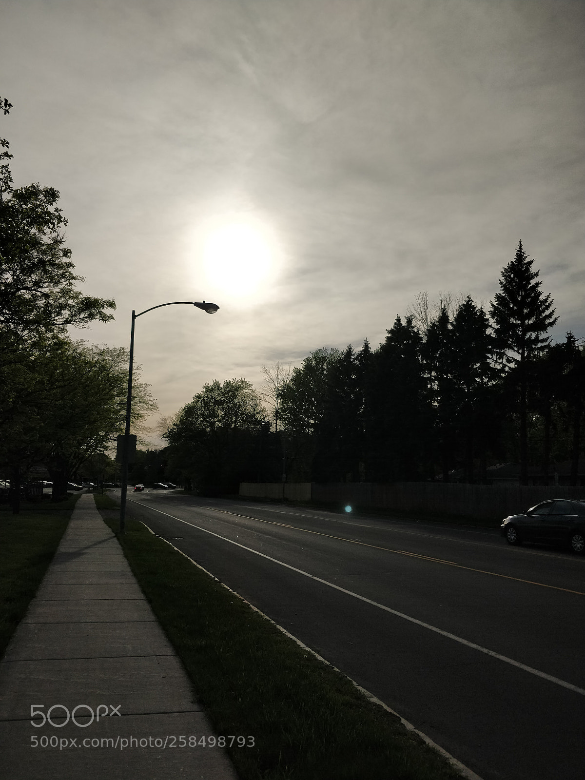 OnePlus 5T sample photo. Untitled photography