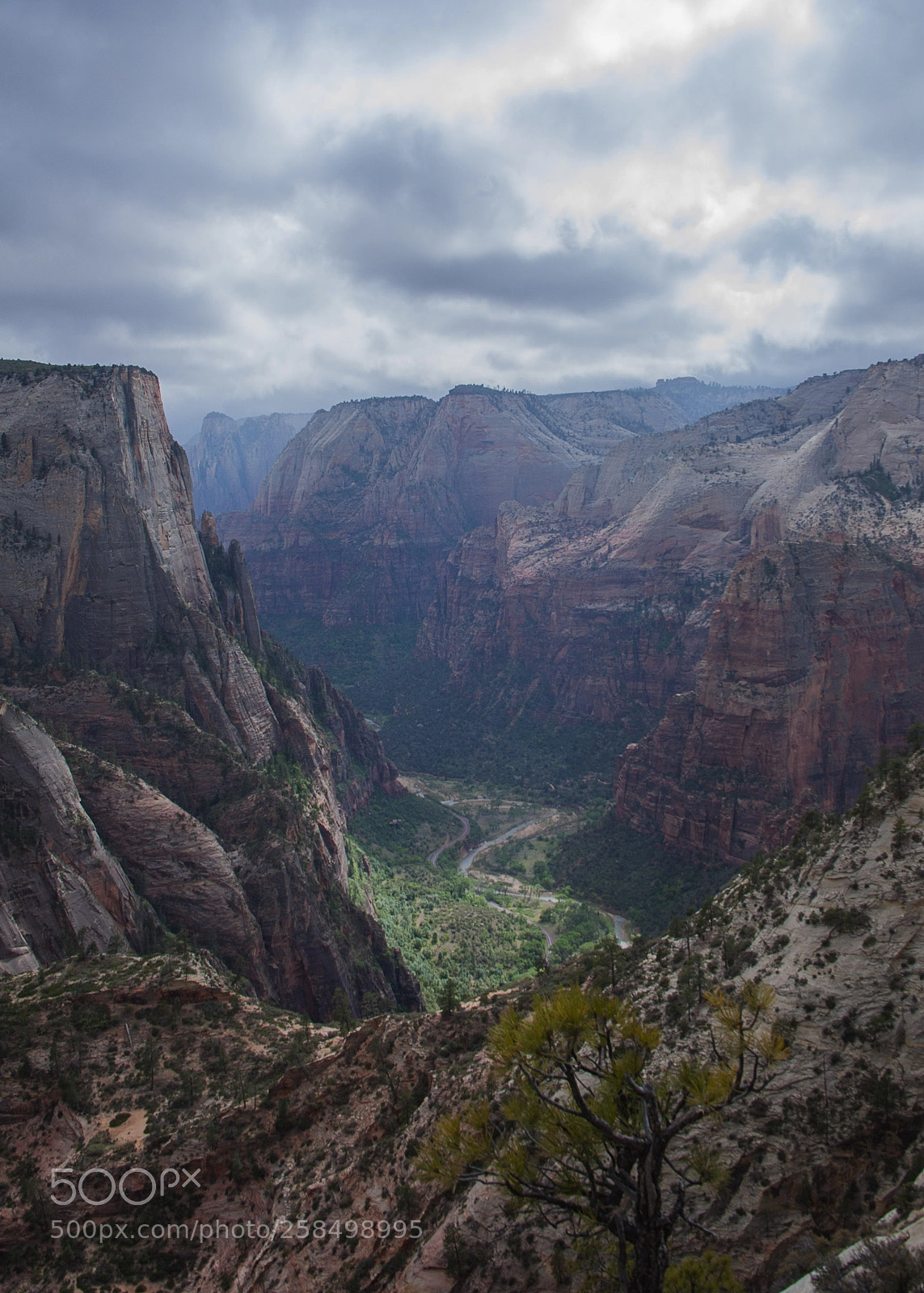 Canon EOS 5D sample photo. Zion photography