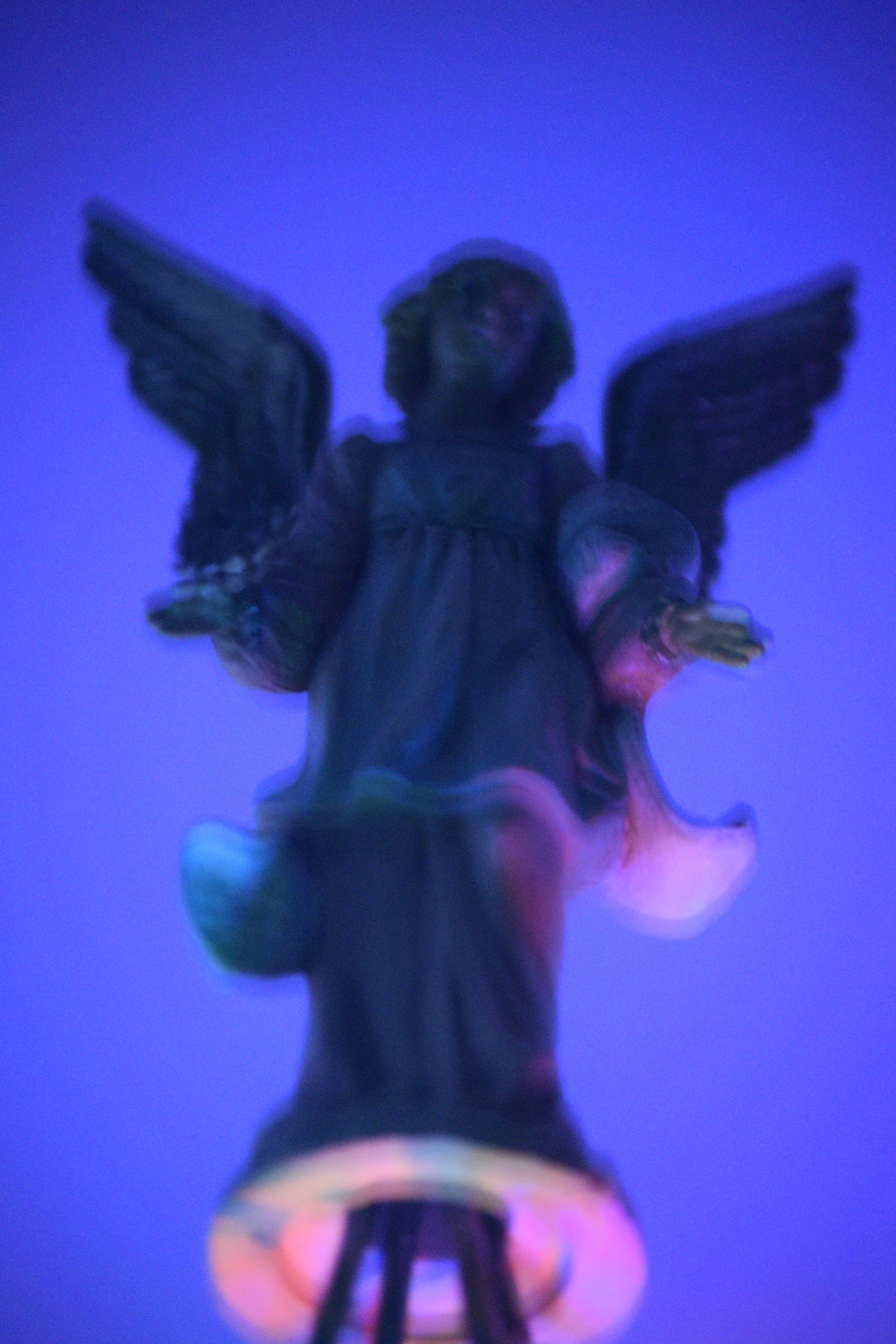 Nikon D3300 sample photo. ⭐angelic⭐ photography