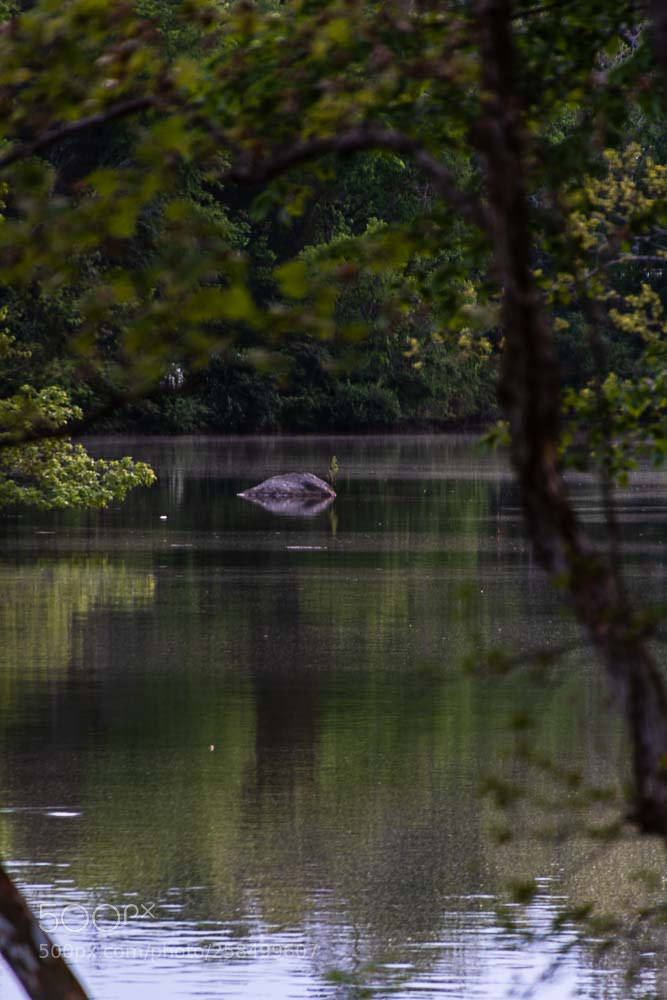 Nikon D500 sample photo. Lakeshore river photography