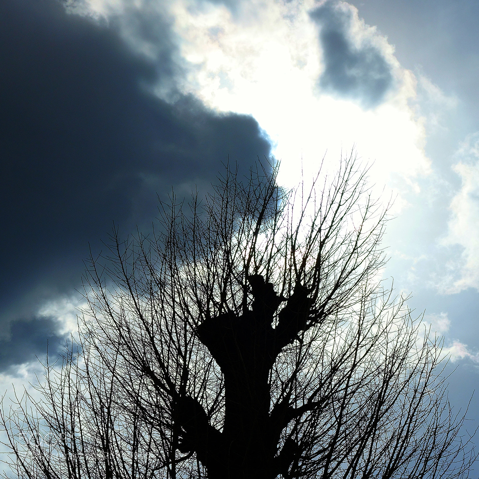 Sony Cyber-shot DSC-RX100 sample photo. 構成=composition-147 photography