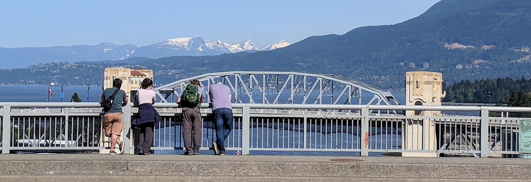 Google Pixel XL sample photo. Watching the world pass by photography