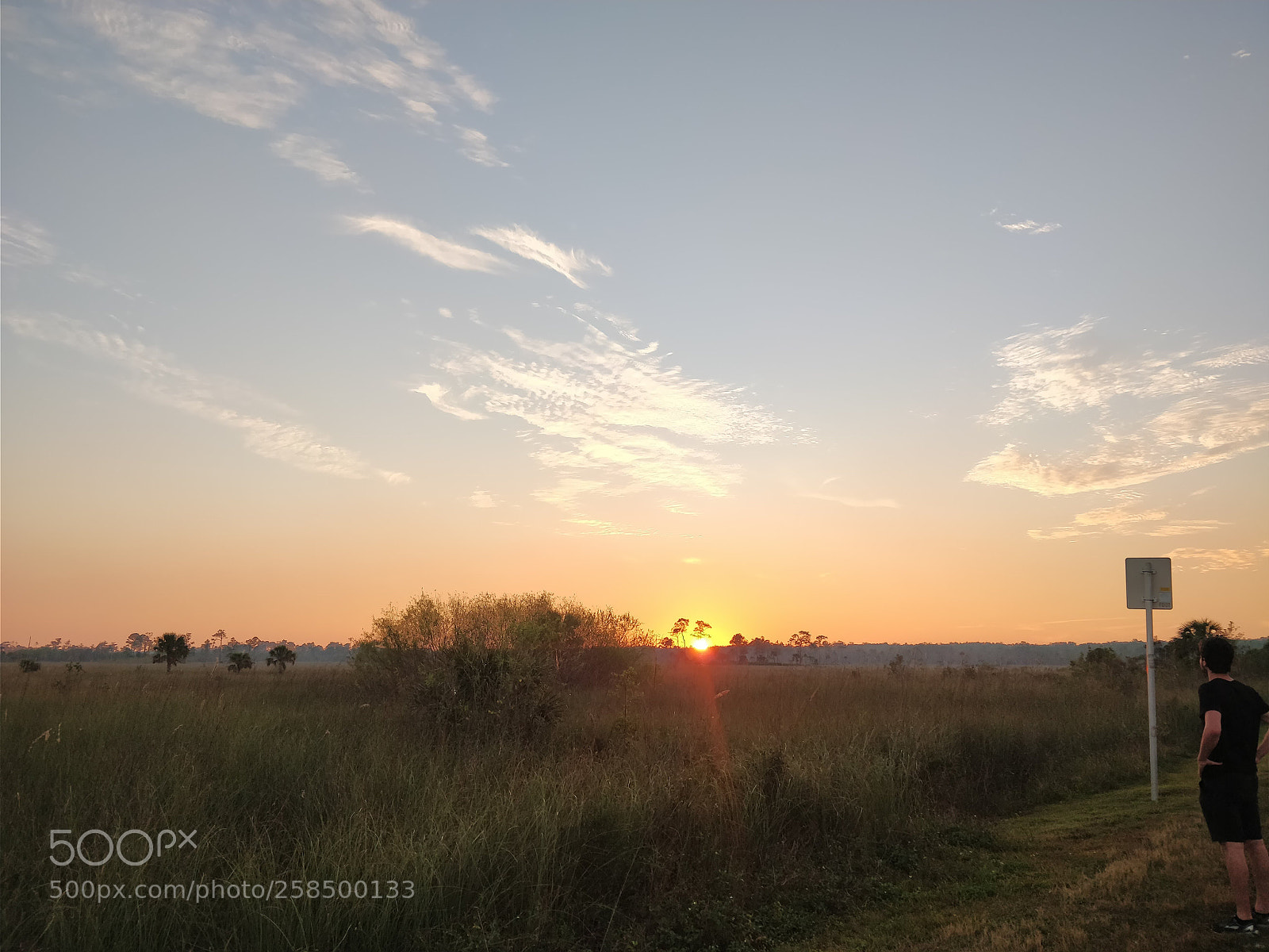 OnePlus 5T sample photo. Untitled photography