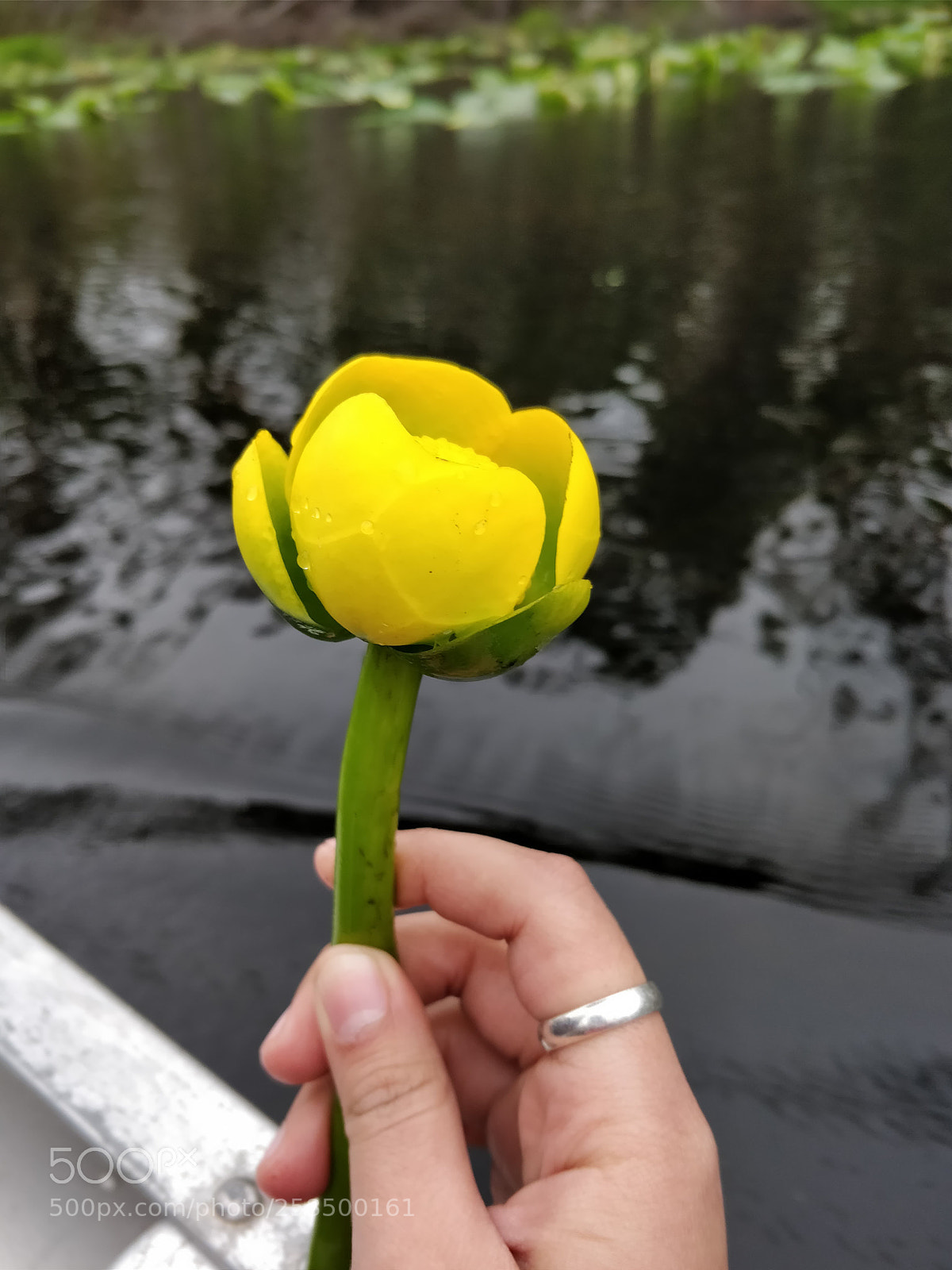 OnePlus 5T sample photo. Untitled photography