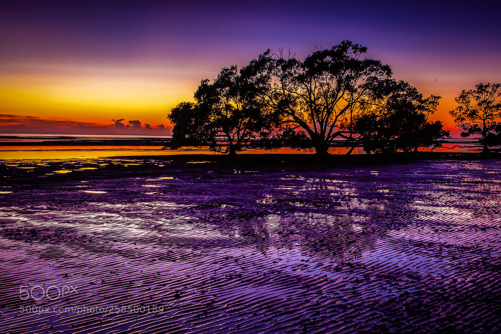 Nikon D750 sample photo. Nudgee beach edit photography