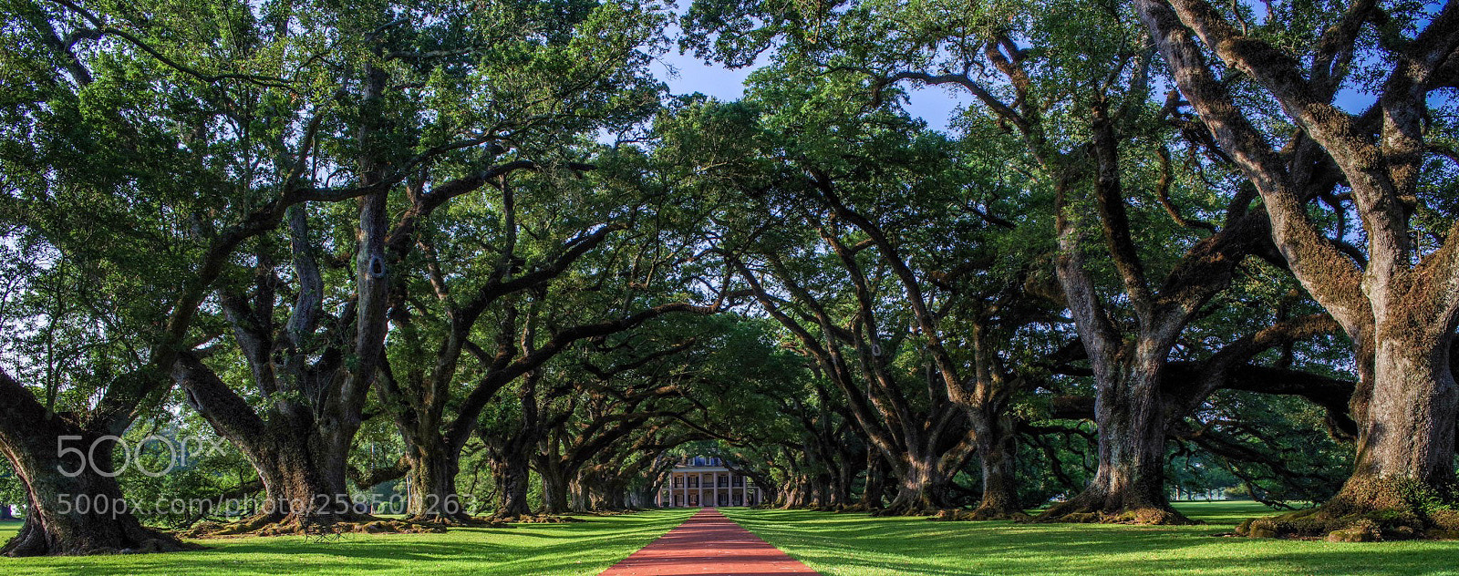 Pentax K-1 sample photo. Southern charm photography