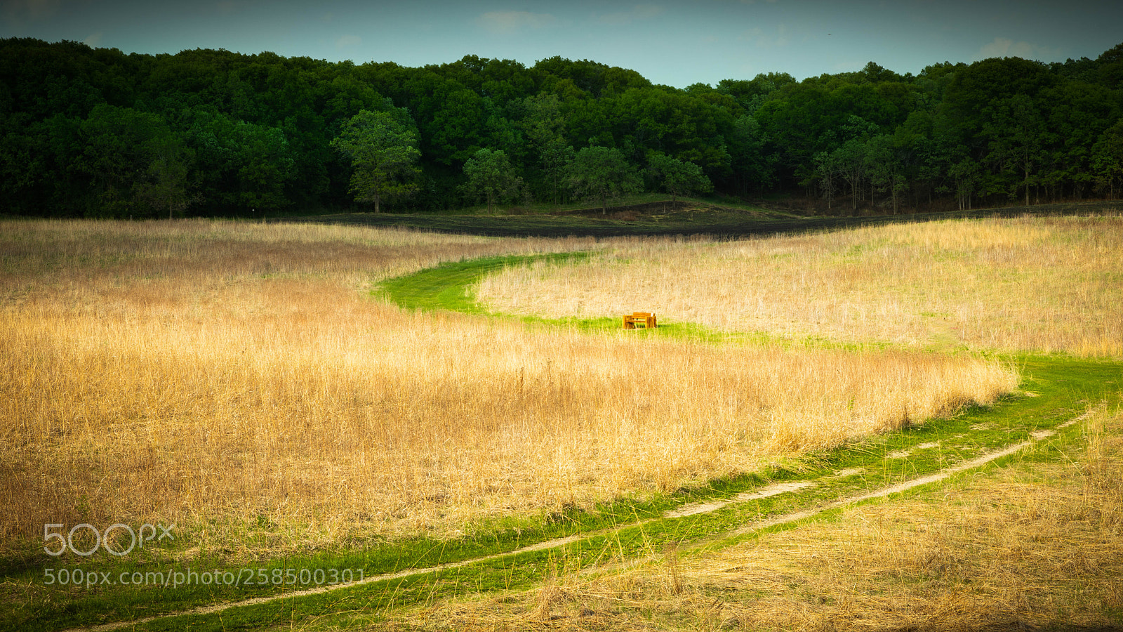 Canon EOS 5D Mark IV sample photo. The route made by photography