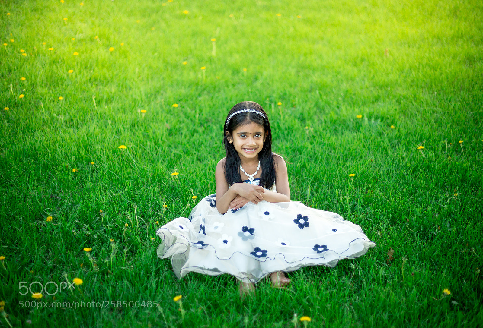 Canon EOS 6D sample photo. Elegance photography