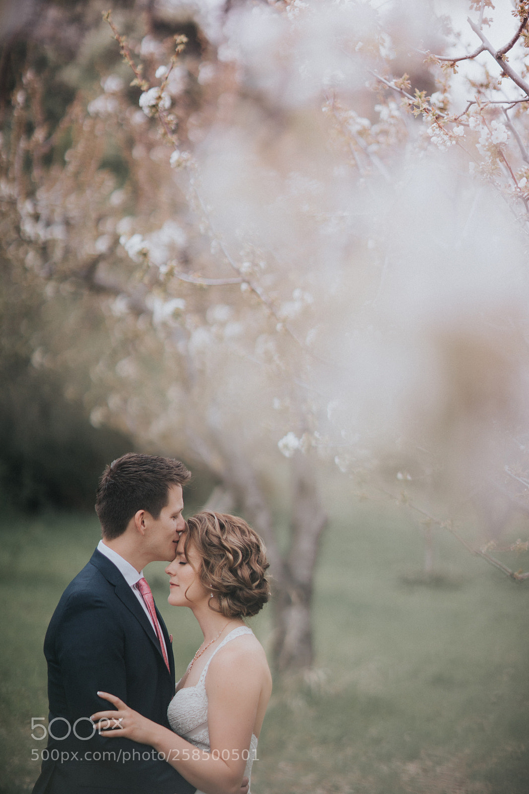 Canon EOS 5D Mark IV sample photo. The apple blossom wedding photography