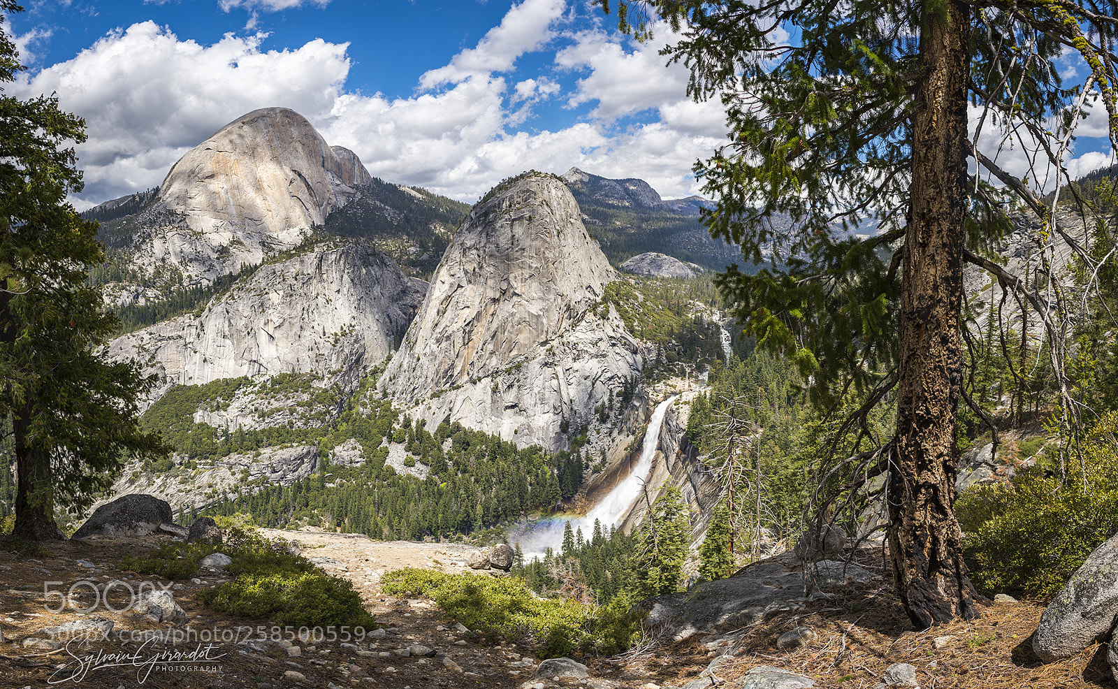Nikon D4S sample photo. Yosemite photography