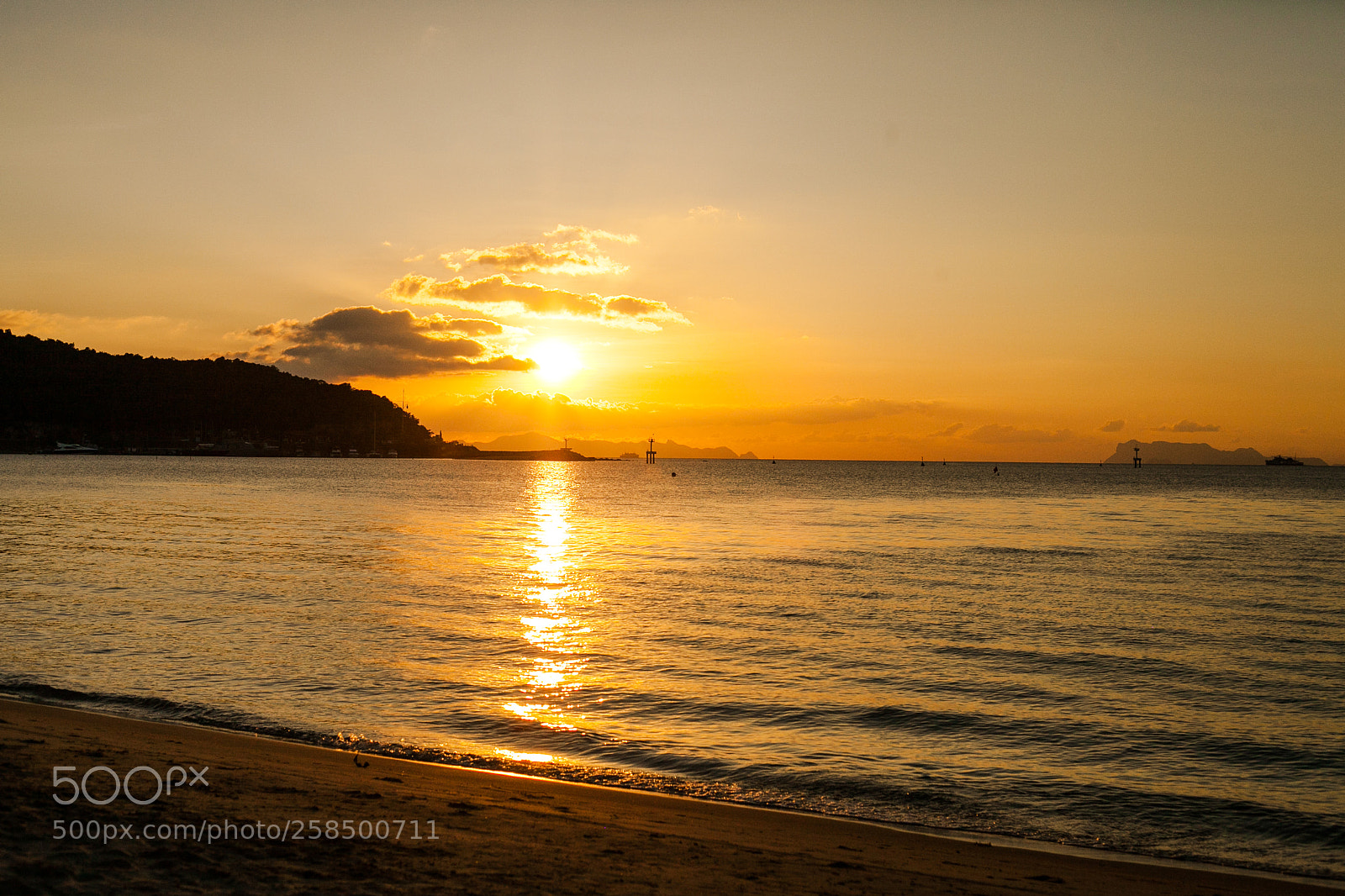 Canon EOS 5D Mark II sample photo. See photography