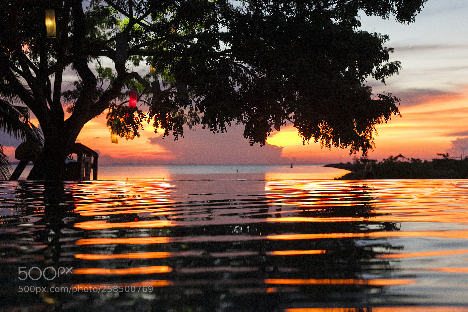 Canon EOS 5D Mark II sample photo. Sunset in pool photography