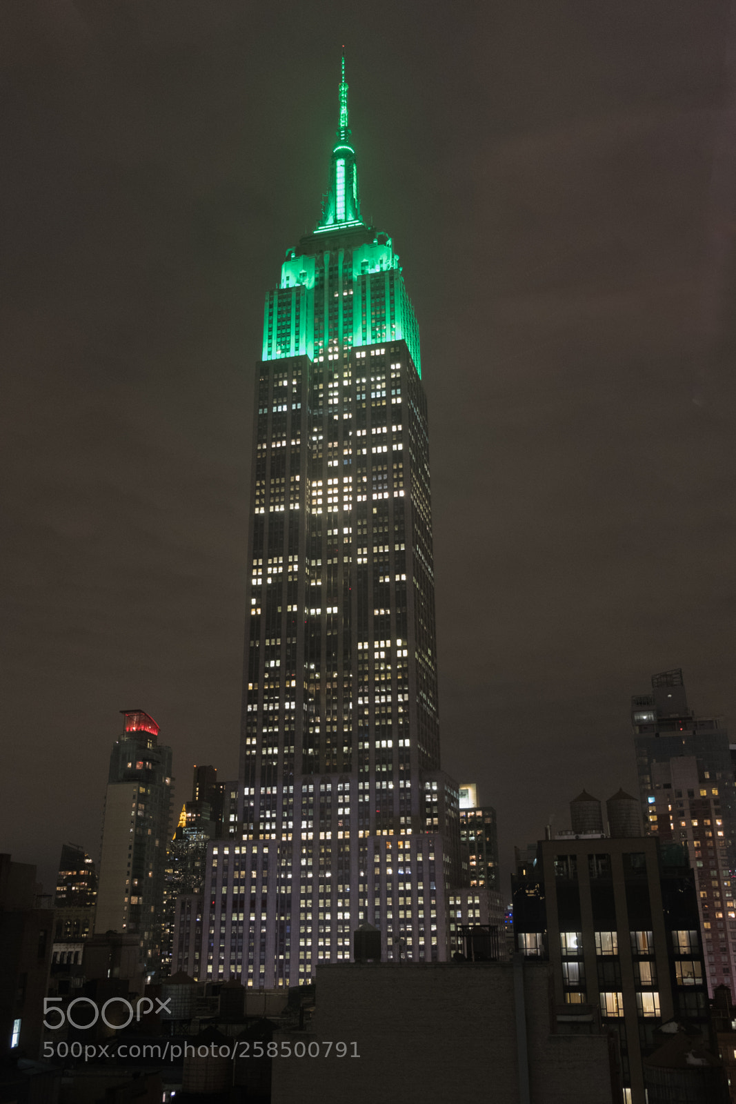 Fujifilm X-T20 sample photo. Empire state in green photography
