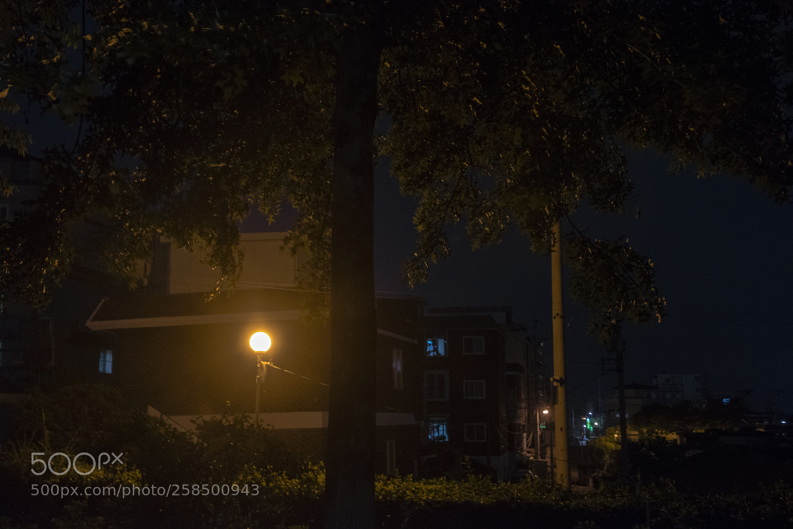 Nikon D810 sample photo. In a night   no.14 photography