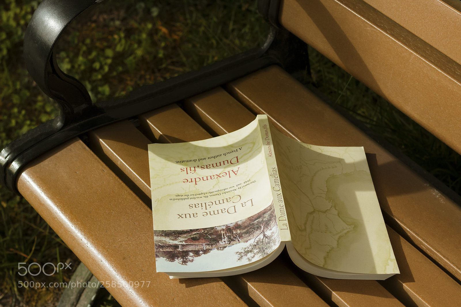 Canon EOS 70D sample photo. Sunshine, book, bench photography