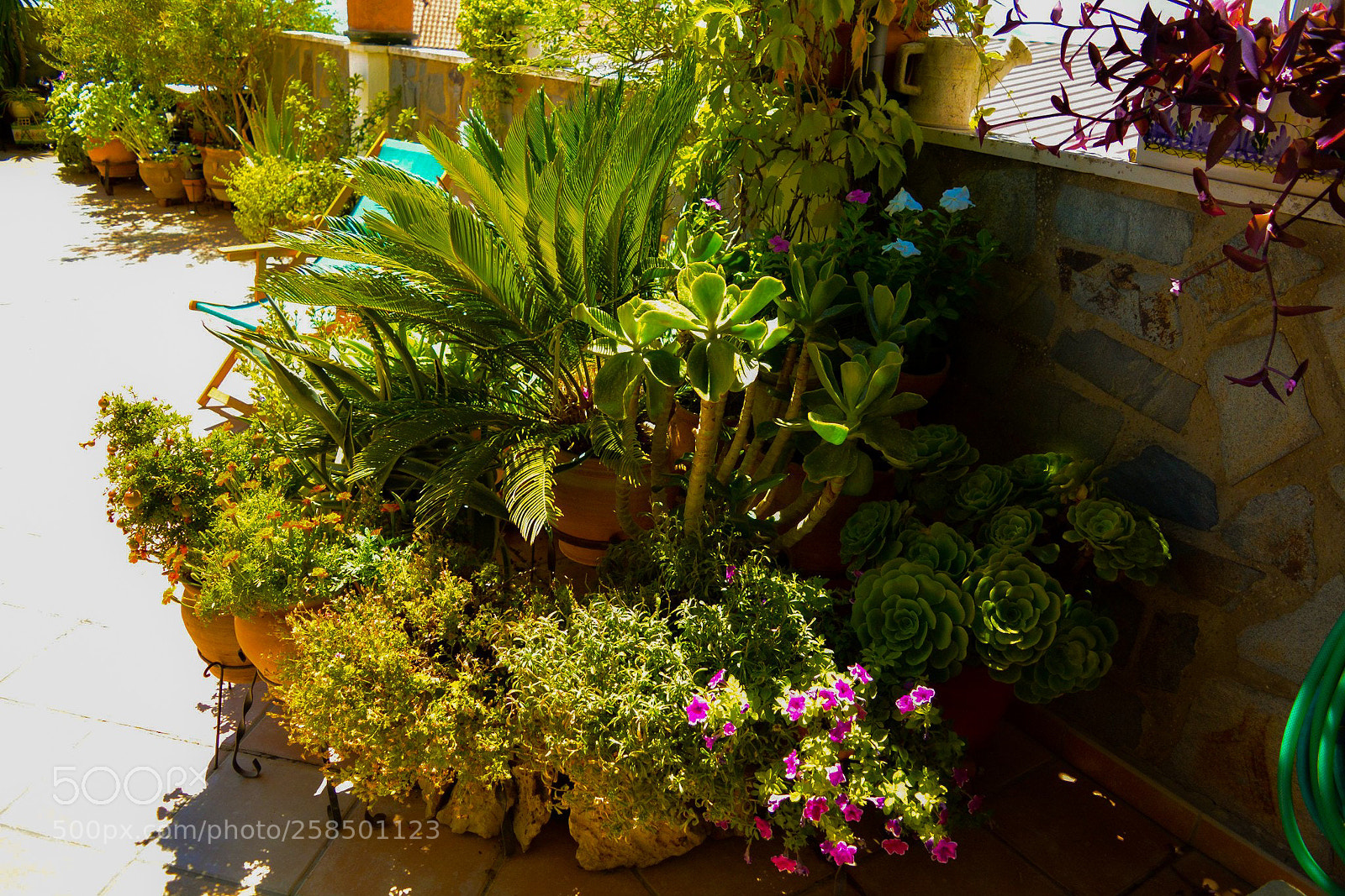 Nikon D5200 sample photo. Patio andaluz photography