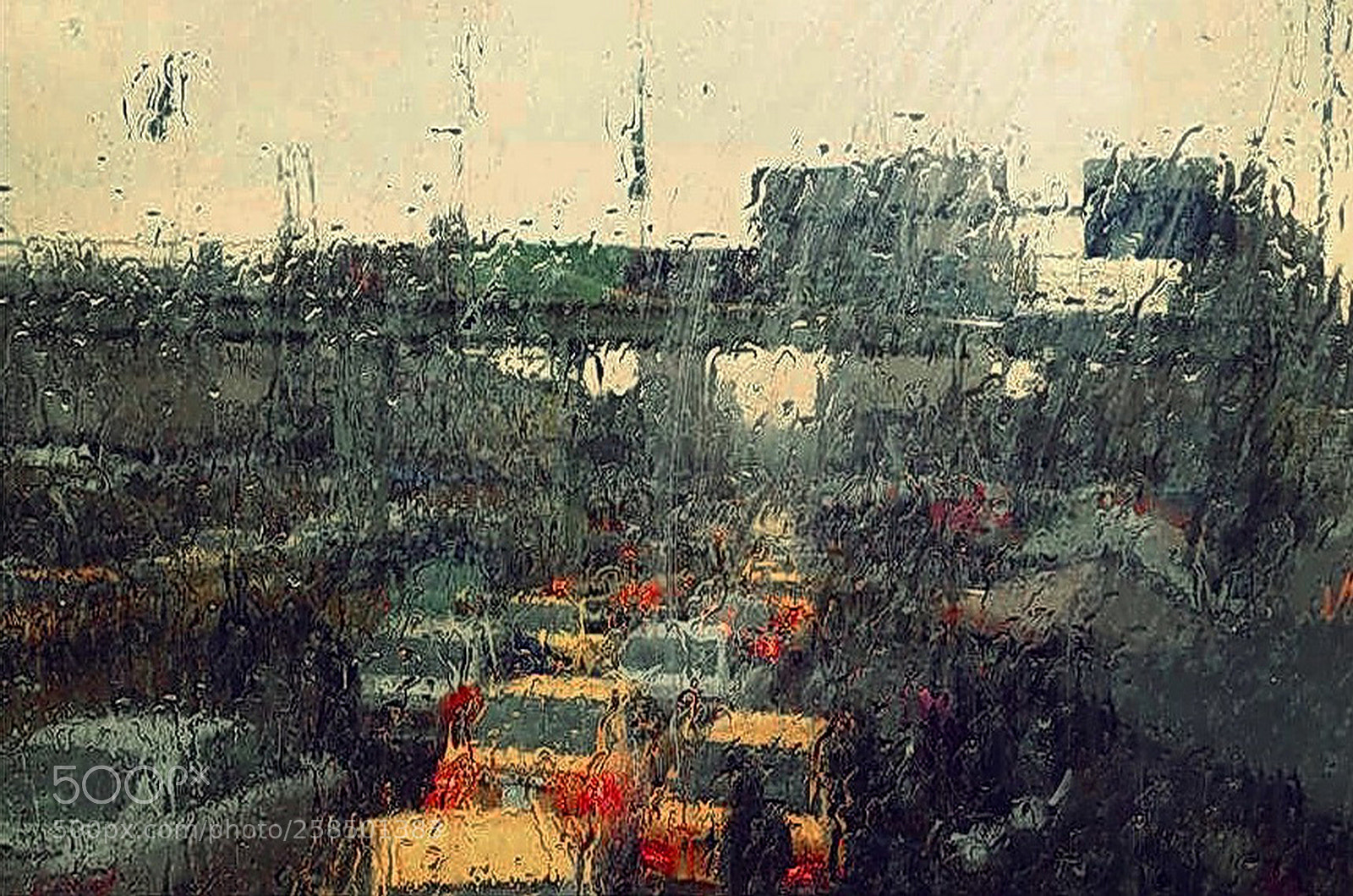Nikon D7000 sample photo. Rainy day photography