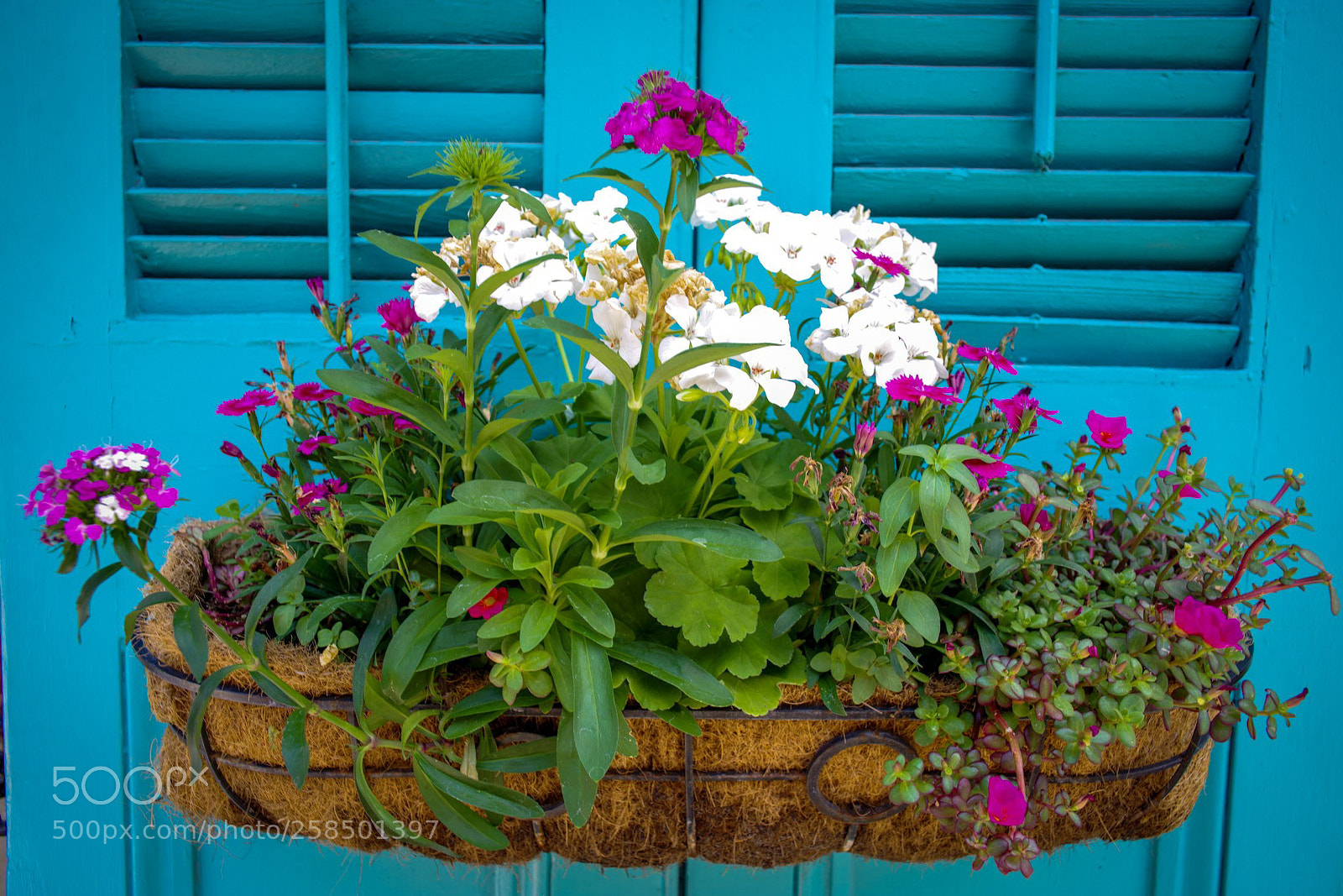 Pentax K-1 sample photo. Miksang photography