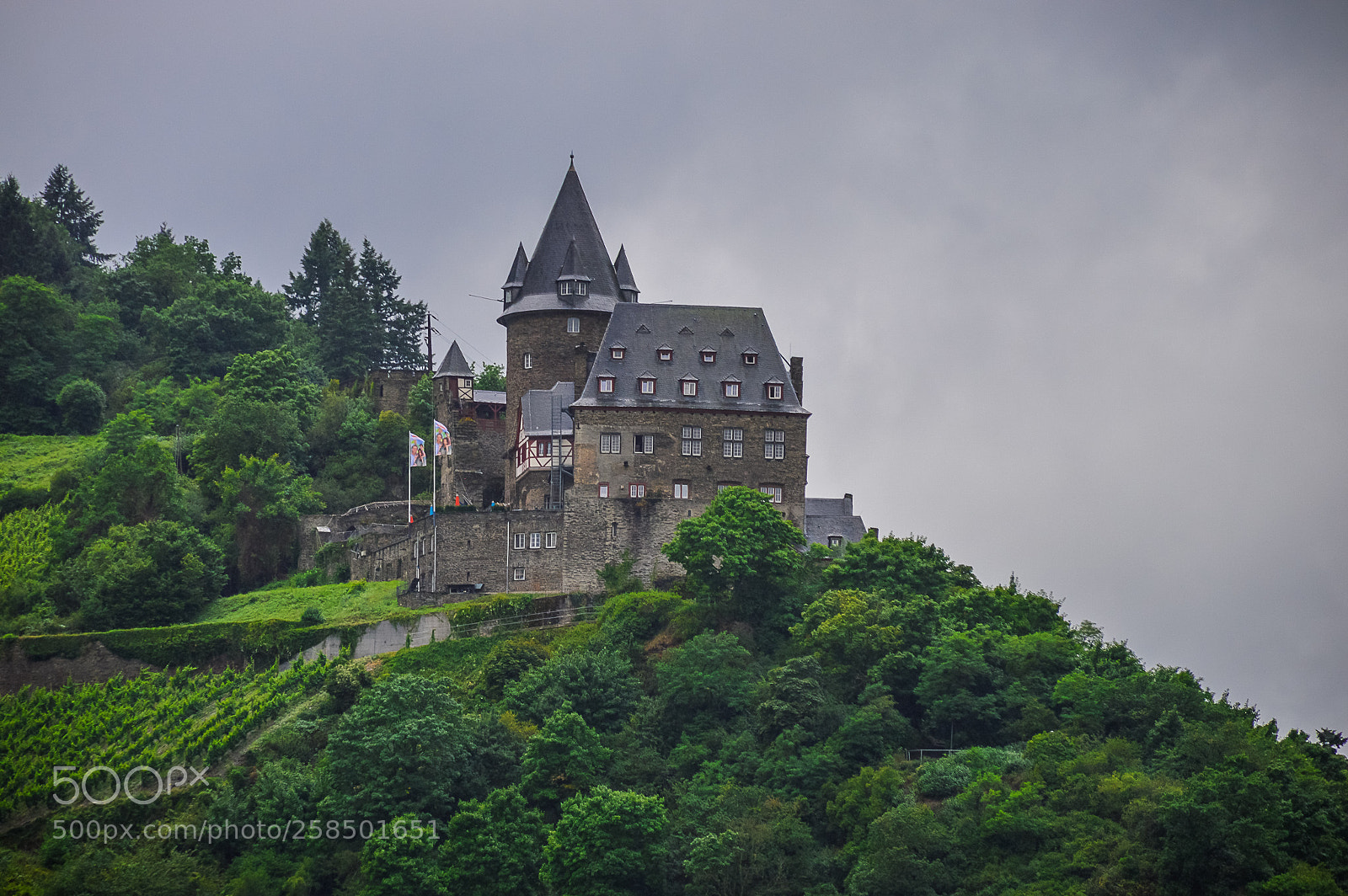 Nikon D3200 sample photo. Castle along the rhine photography