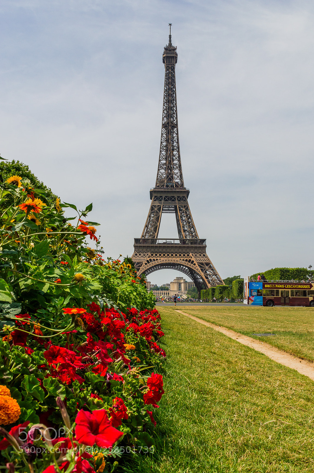 Nikon D3200 sample photo. Eiffel tower photography