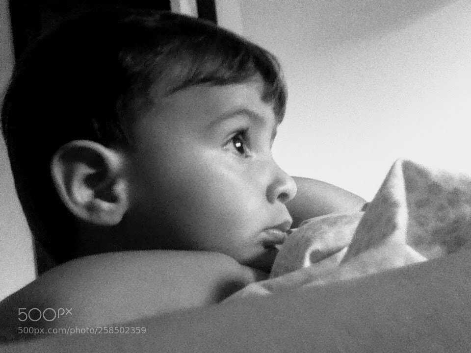 Apple iPod touch sample photo. Untitled photography