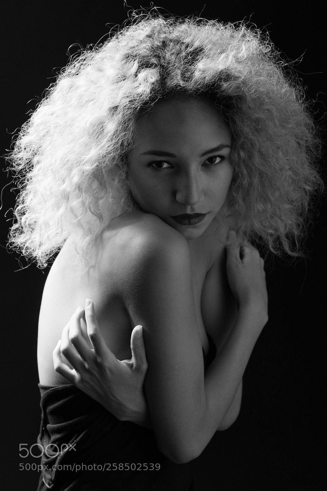 Nikon D850 sample photo. The little lioness photography