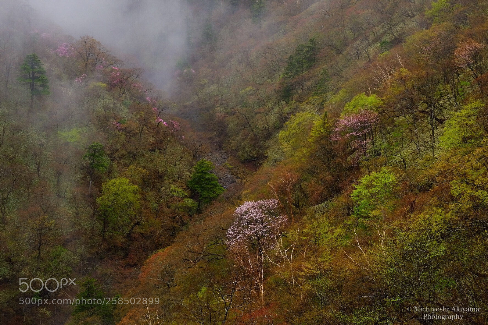 Fujifilm X-T1 sample photo. Untitled photography