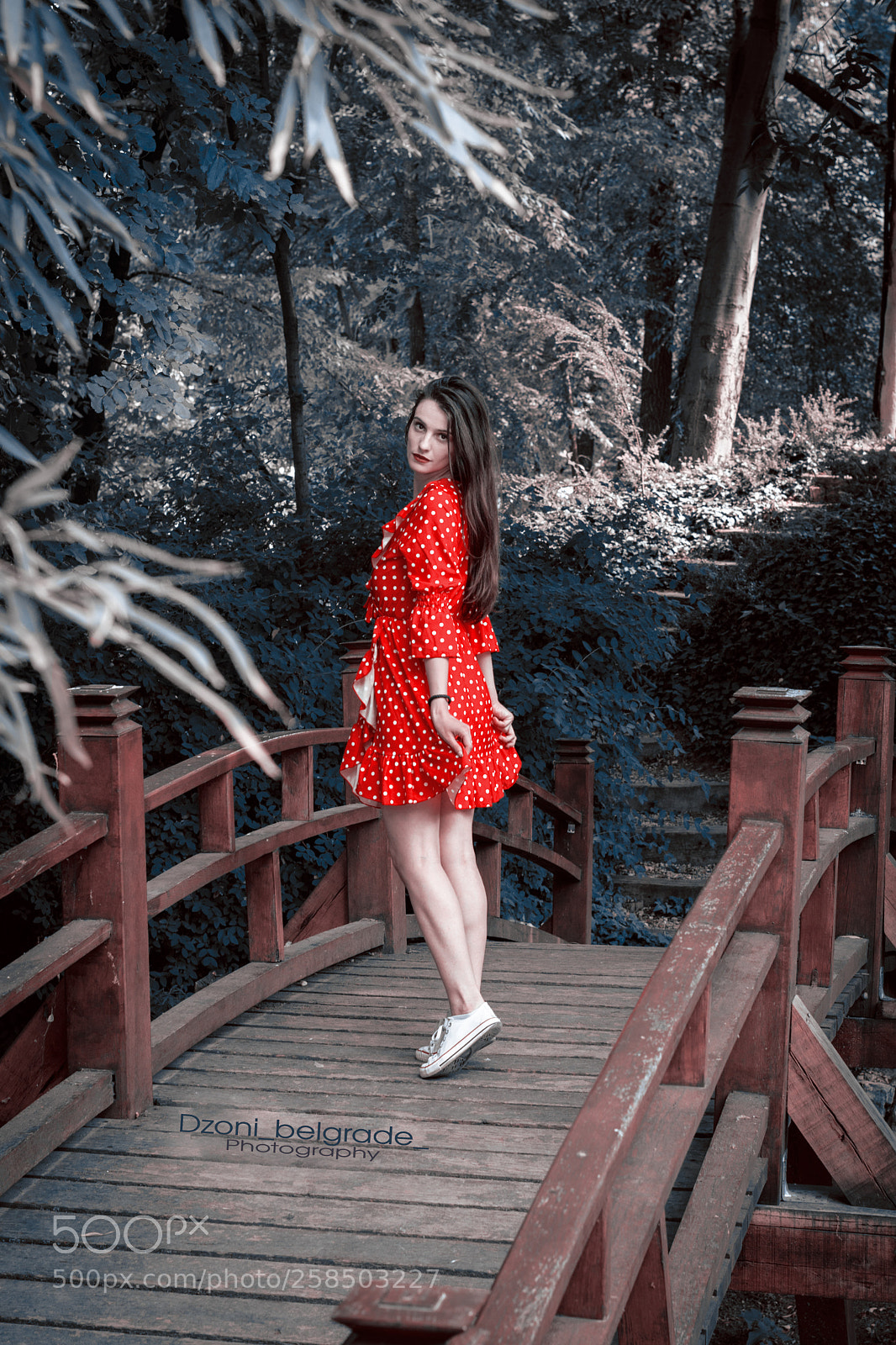 Nikon D3300 sample photo. Red dreamy photography