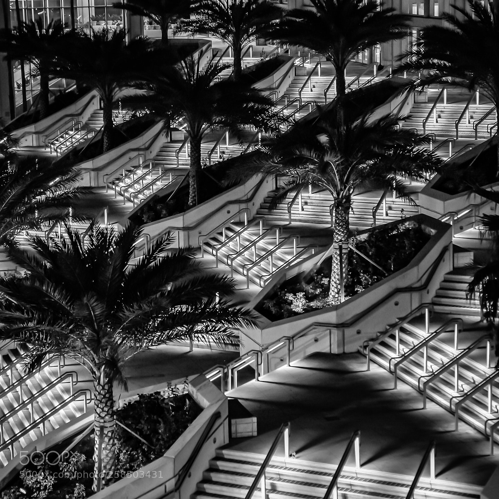 Canon EOS 350D (EOS Digital Rebel XT / EOS Kiss Digital N) sample photo. Stair maze photography