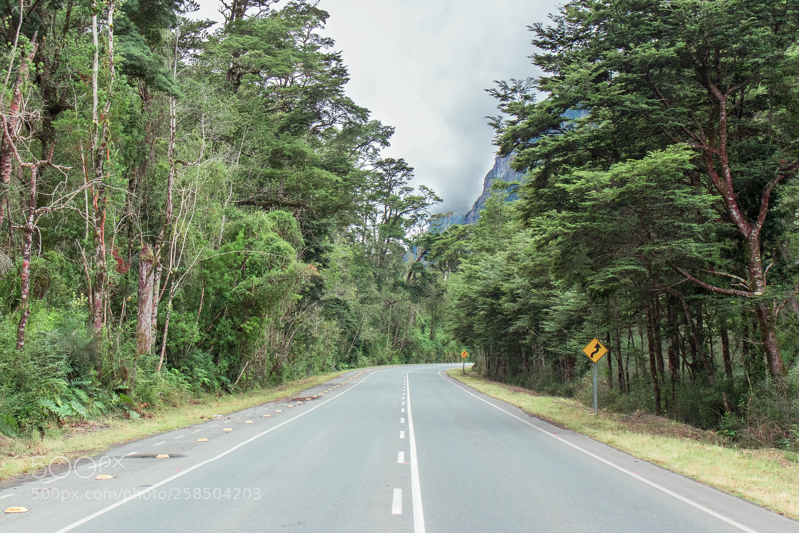 Canon EOS 77D (EOS 9000D / EOS 770D) sample photo. Where i end and photography