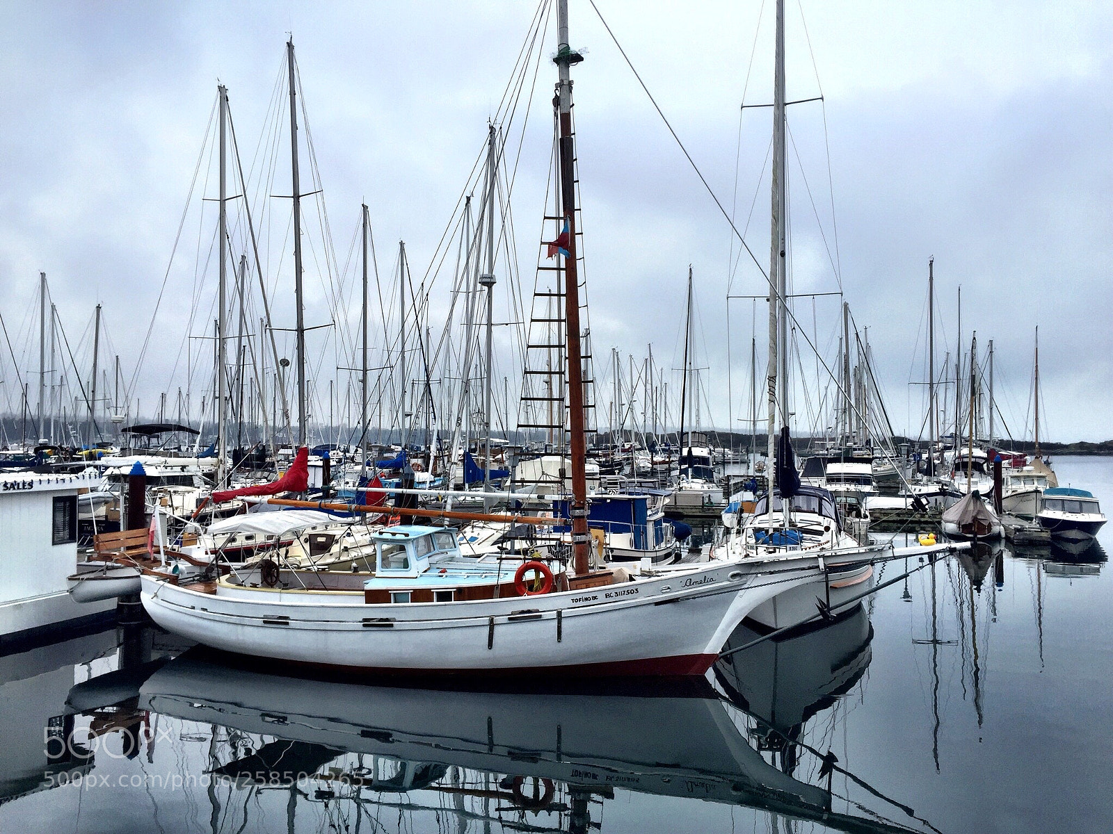 Apple iPhone 6 sample photo. Oak bay harbor  photography