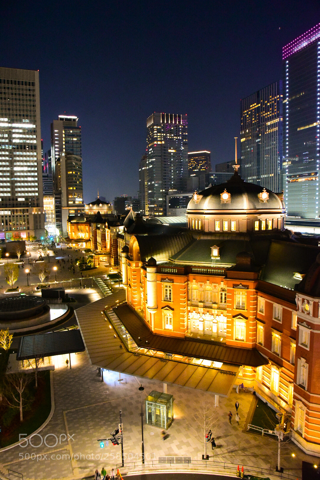 Nikon D750 sample photo. Tokyo station photography