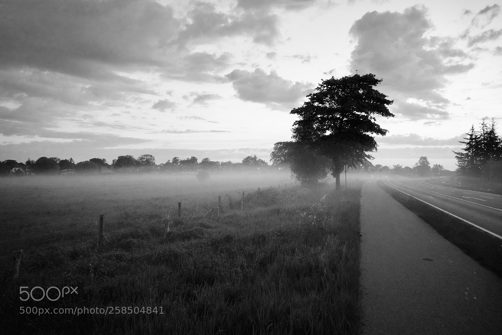 Sony a7R III sample photo. Early morning in prerow photography