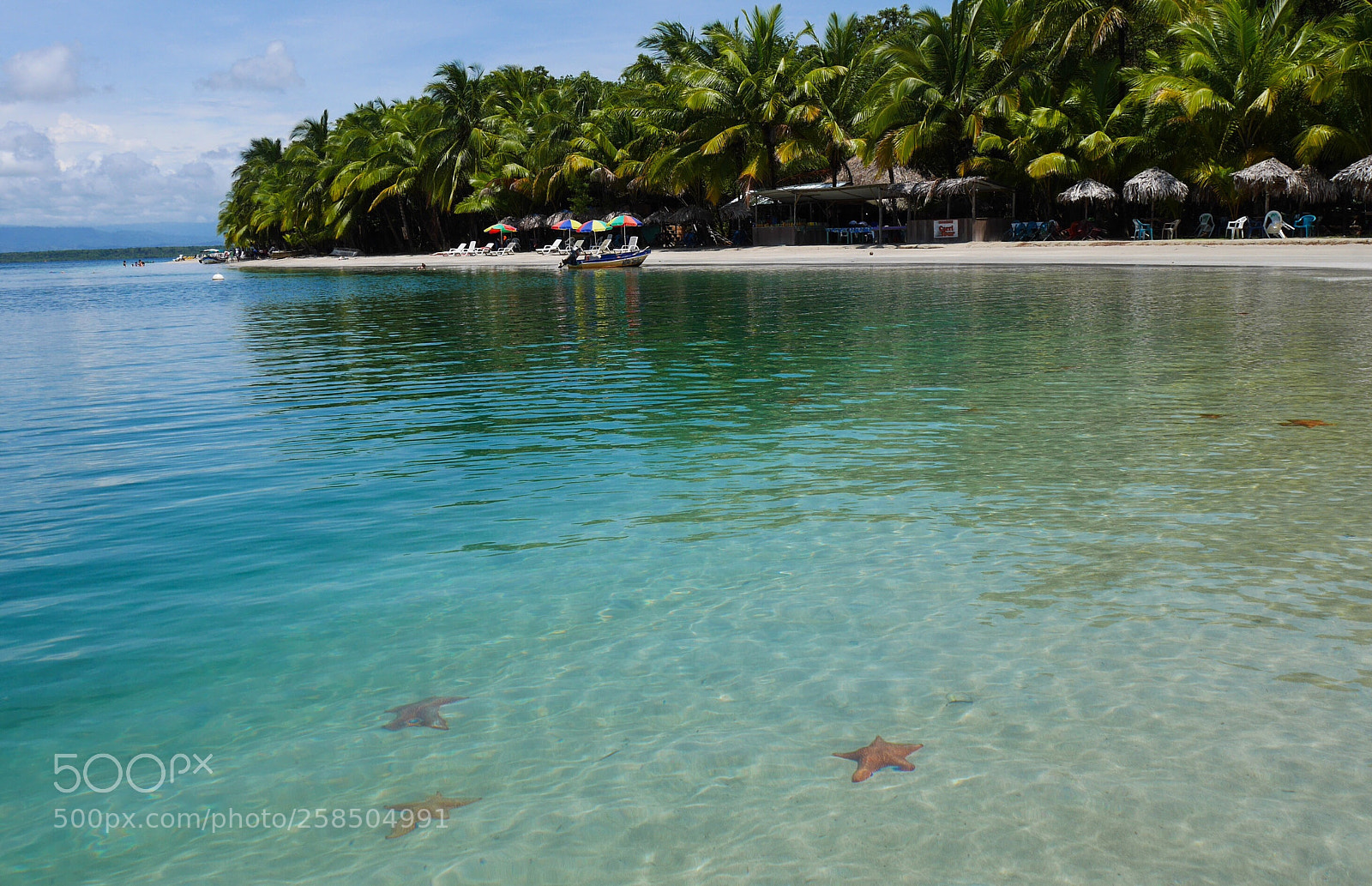 Panasonic Lumix DMC-GX7 sample photo. Bocas del toro photography