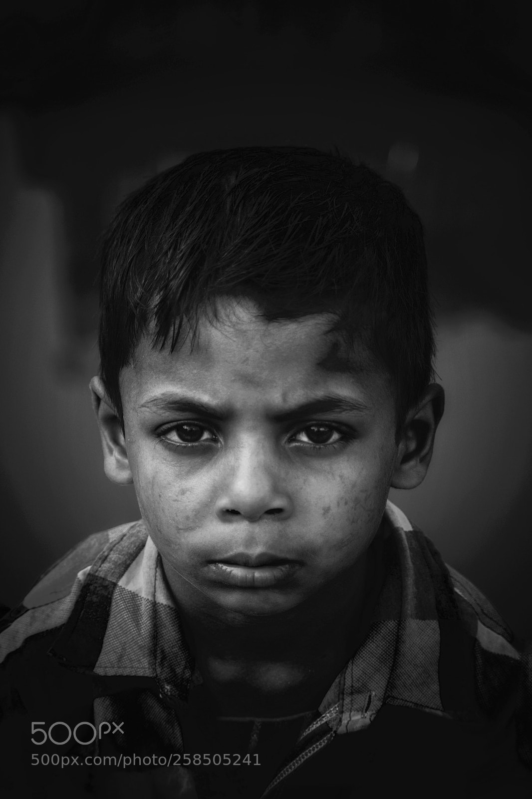 Nikon D5300 sample photo. Curiosity in his eyes.. photography