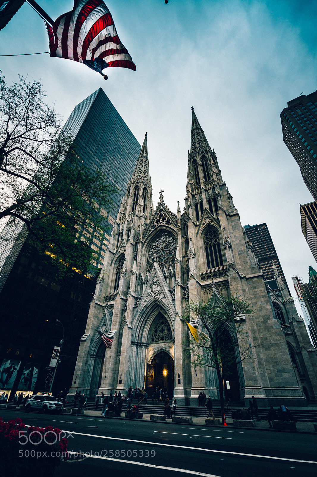Sony a7 II sample photo. Untitled photography