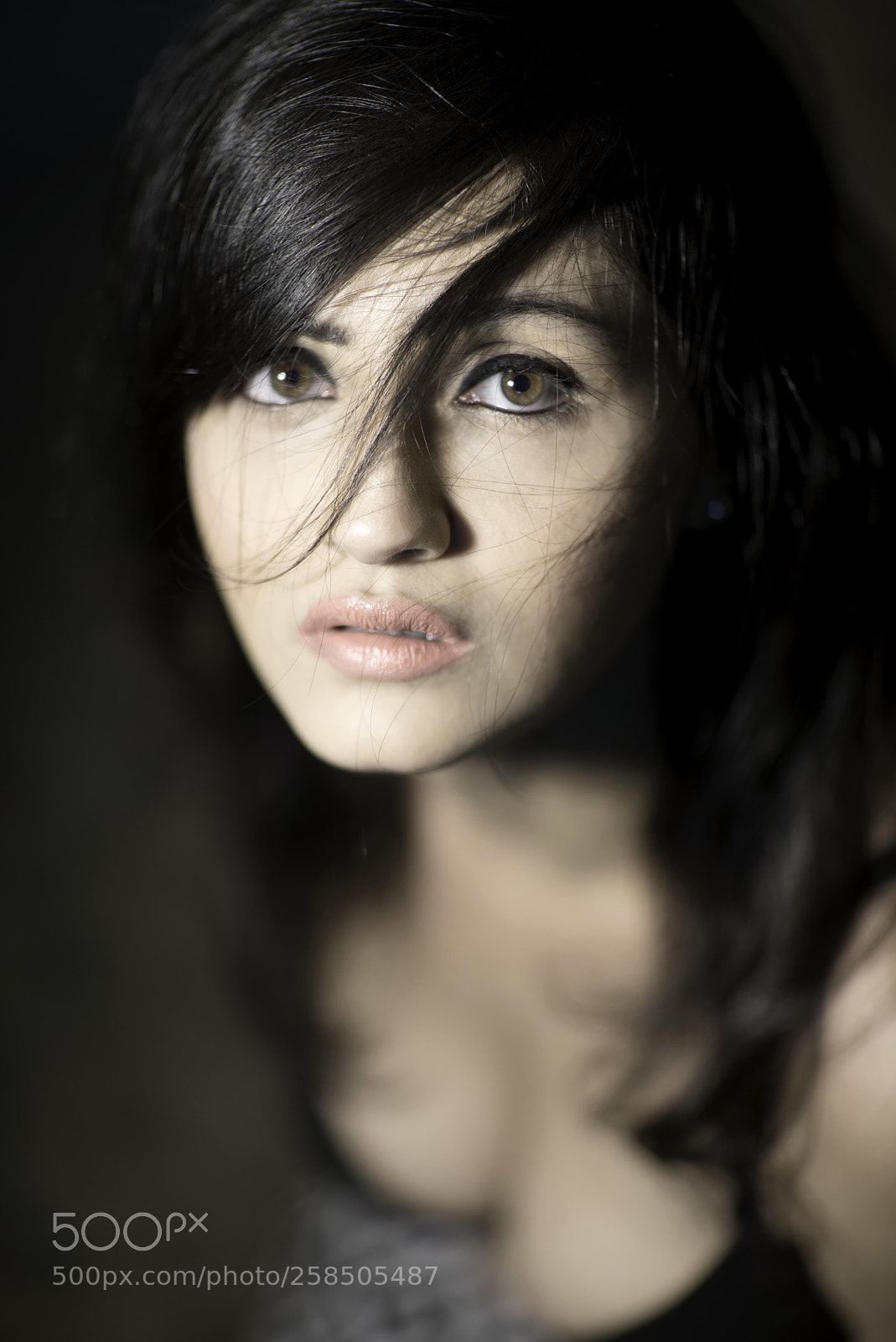 Sony a7S II sample photo. Sonal photography