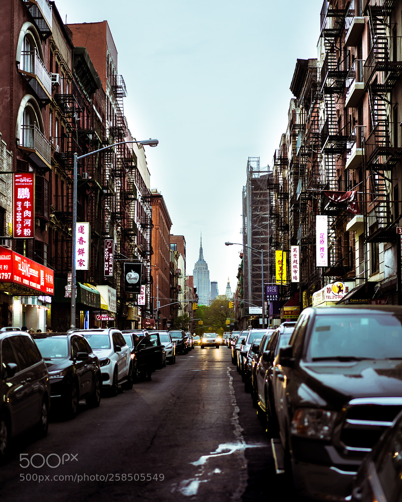 Sony a7 II sample photo. Untitled photography