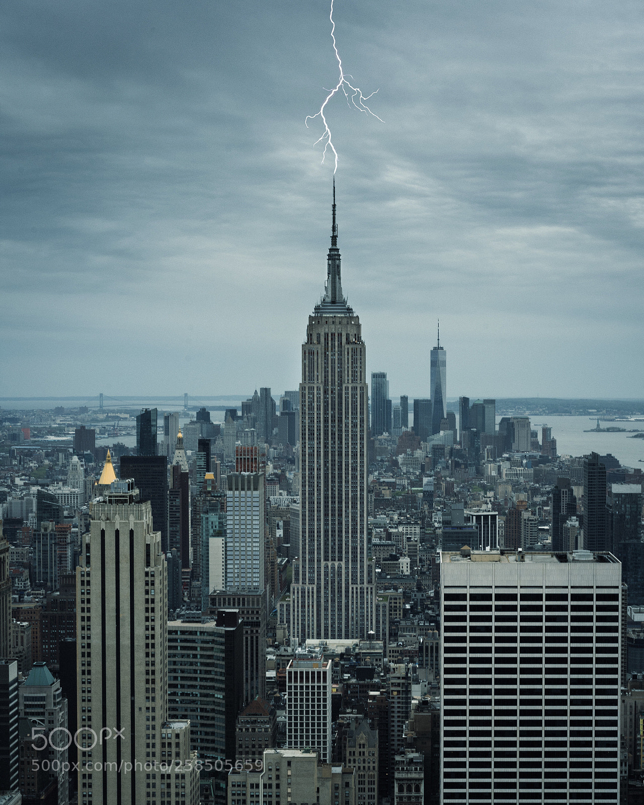 Sony a7 II sample photo. ⚡️ photography