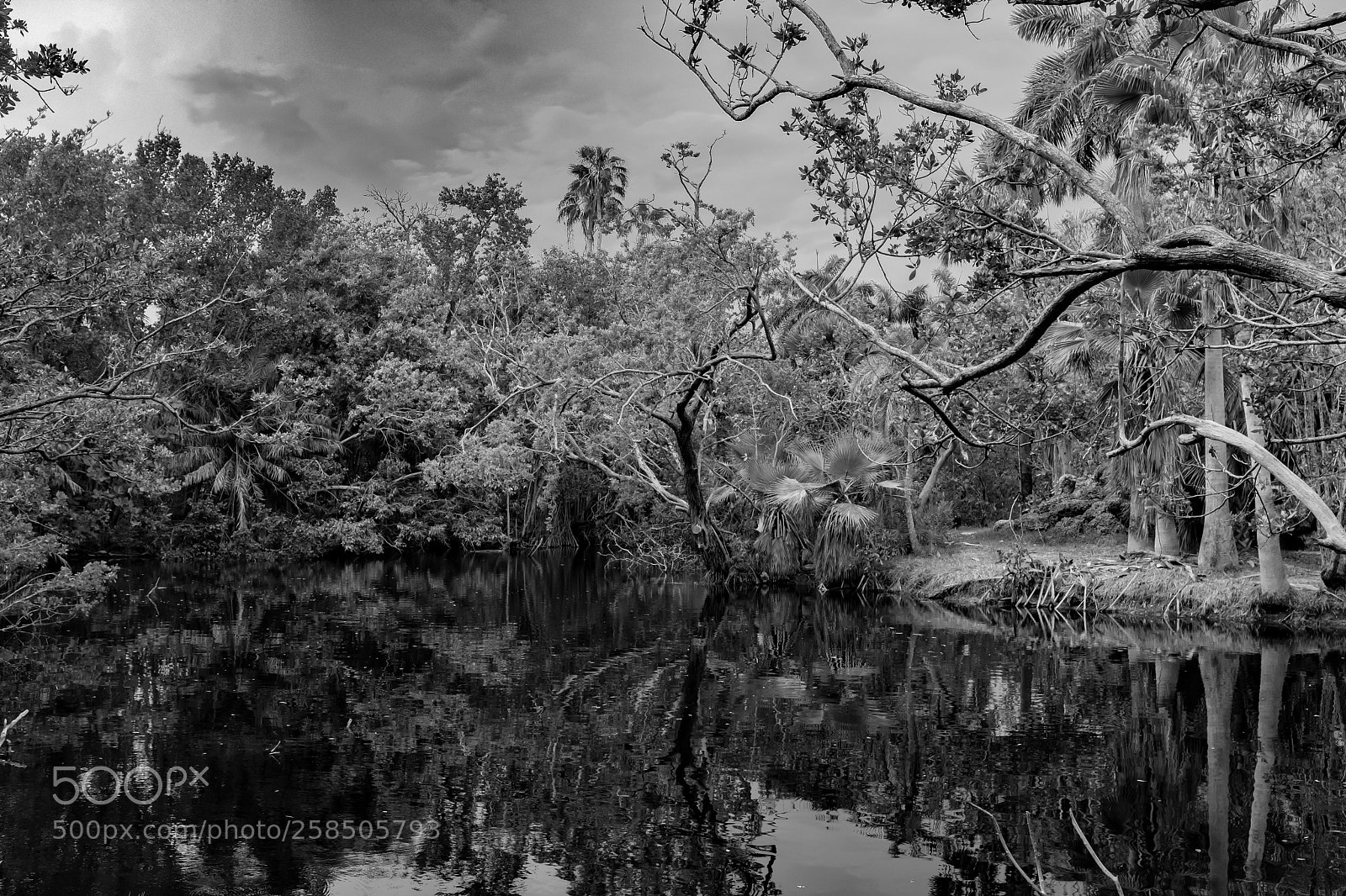 Fujifilm X100F sample photo. Park photography