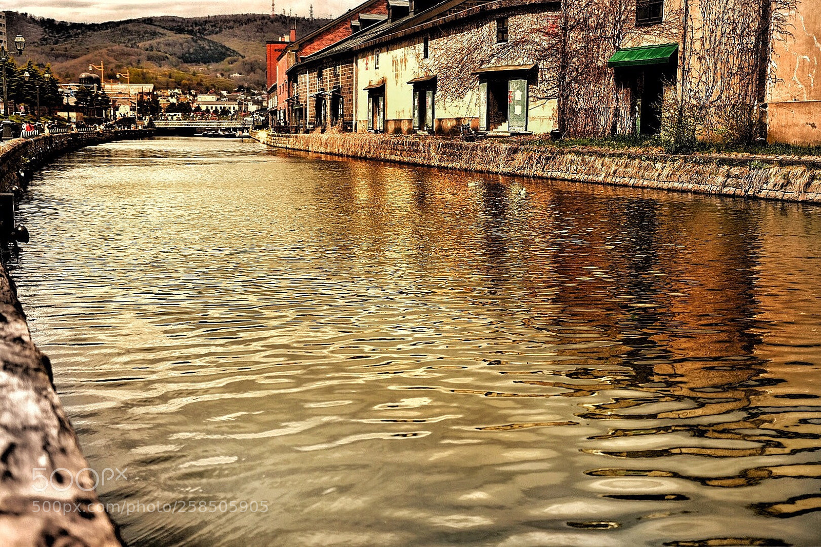 Nikon D7200 sample photo. River photography