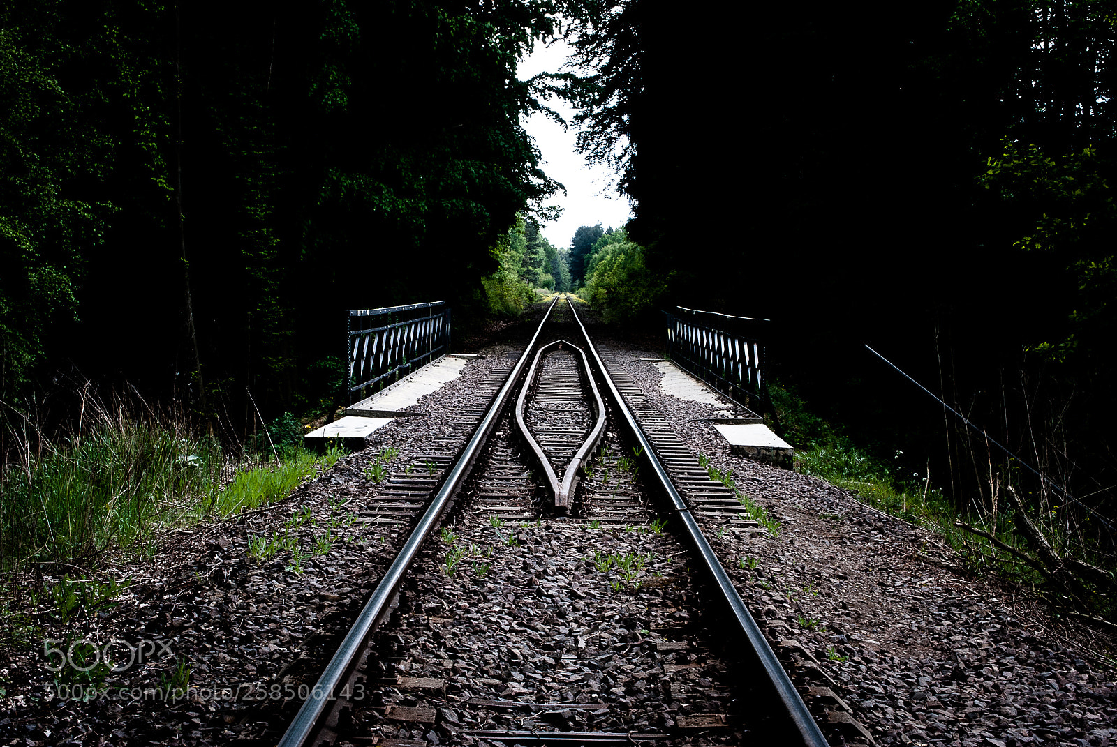 Nikon D60 sample photo. Untitled photography