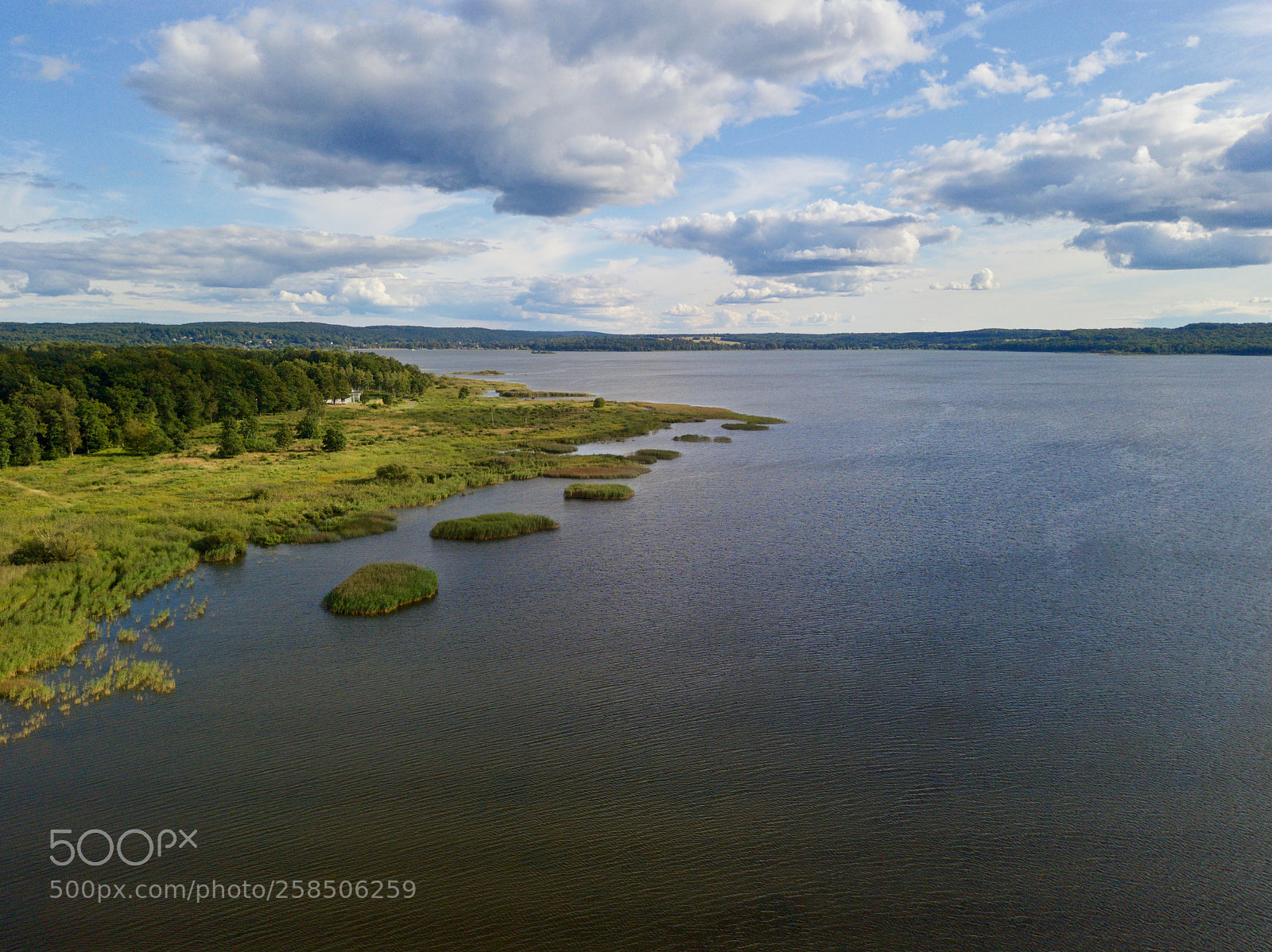 DJI FC220 sample photo. Drone view over forest photography
