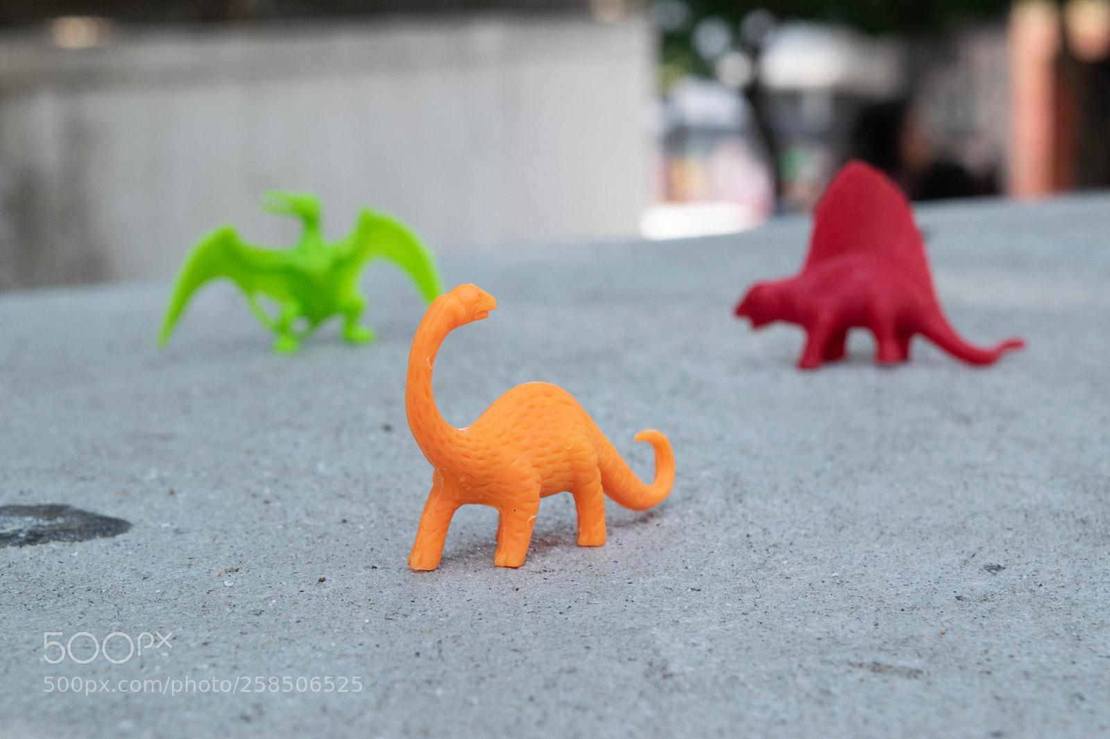 Nikon D3300 sample photo. Enfoque - objeto no.1 photography