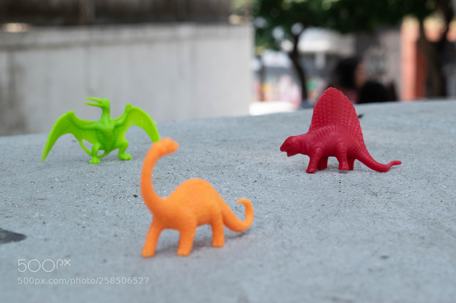 Nikon D3300 sample photo. Enfoque - objeto no.2 photography