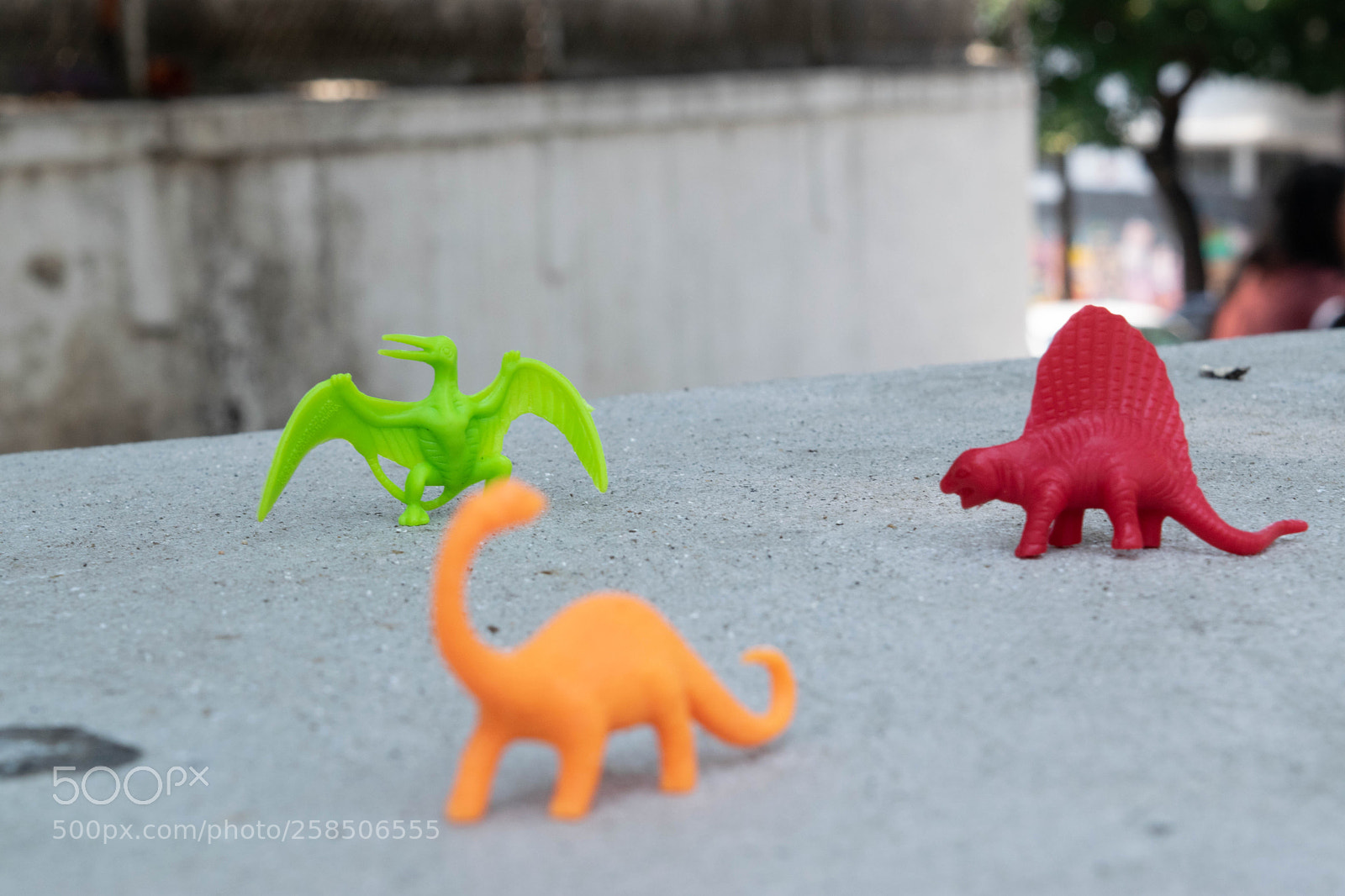 Nikon D3300 sample photo. Enfoque objeto no.3 photography
