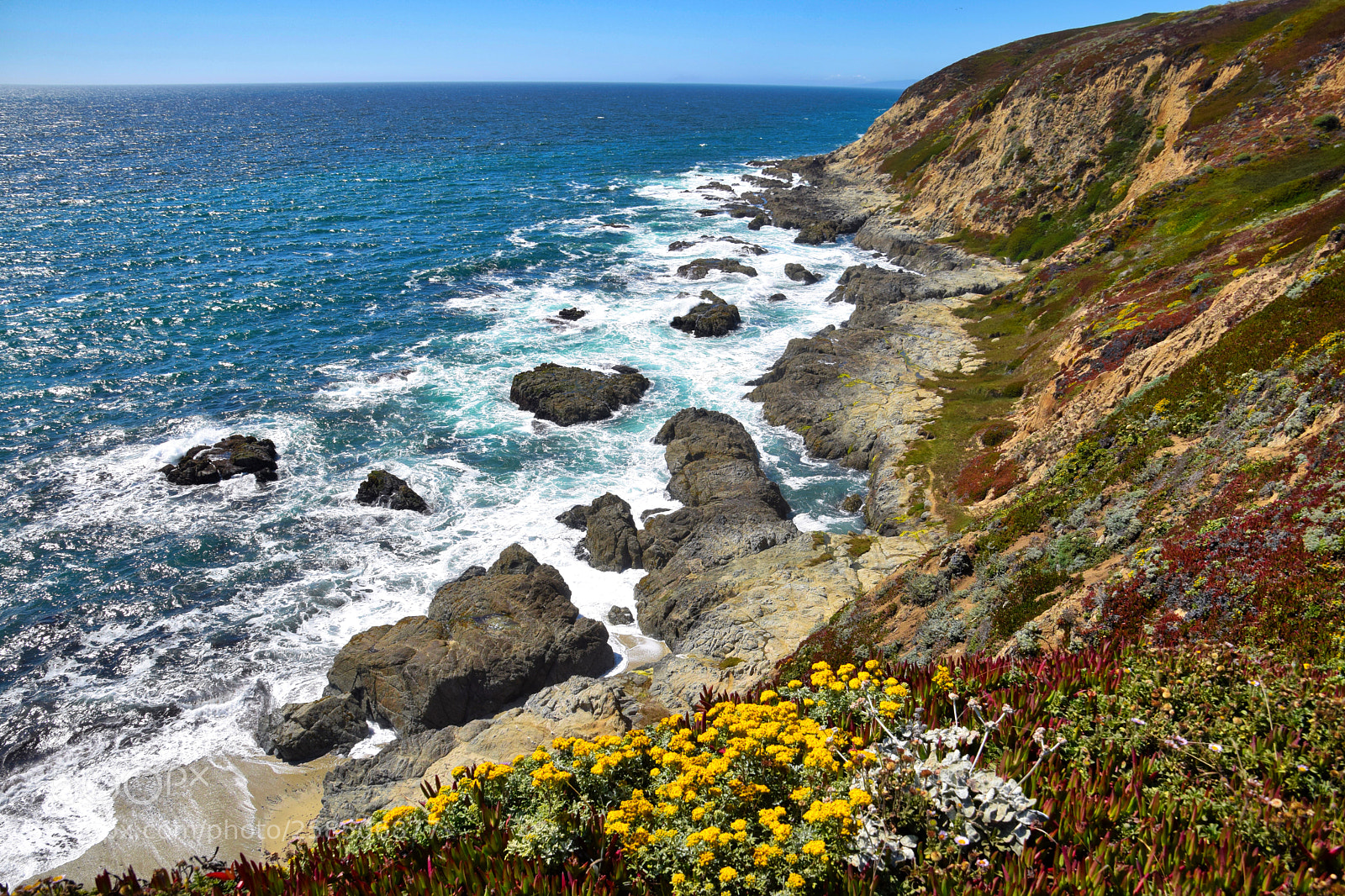 Nikon D5300 sample photo. Spring on bodega head photography