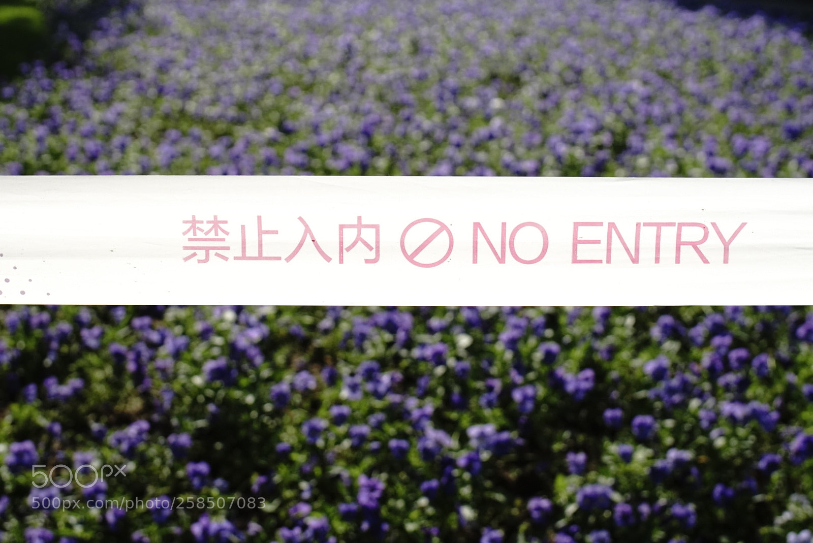 Sony a6300 sample photo. No entry photography